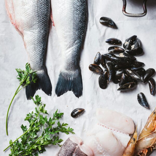 Fish Night Box