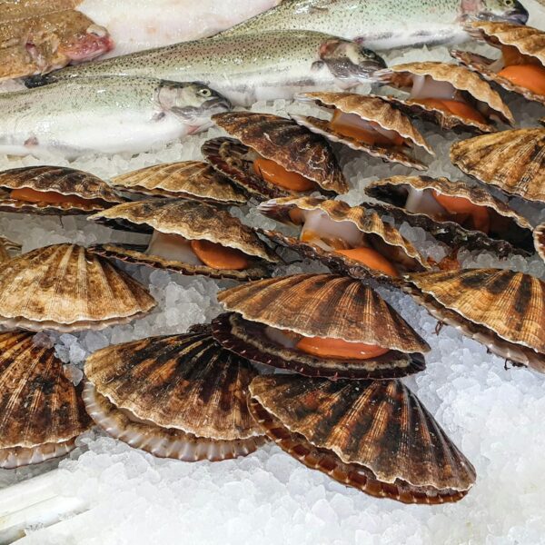 Seafood BBQ Box