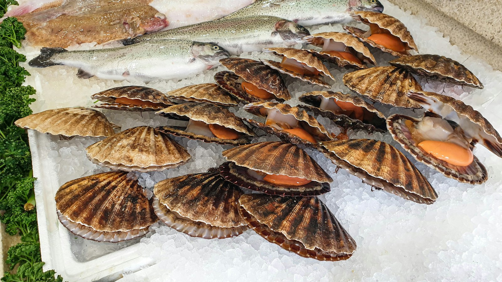 Seafood BBQ Box